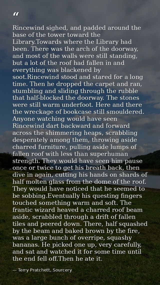 Rincewind sighed, and padded around the base of the tower toward the Library.Towards where the Library had been. There w — Terry Pratchett, Sourcery