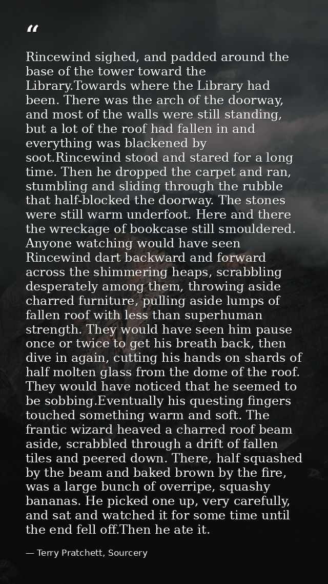 Rincewind sighed, and padded around the base of the tower toward the Library.Towards where the Library had been. There w — Terry Pratchett, Sourcery
