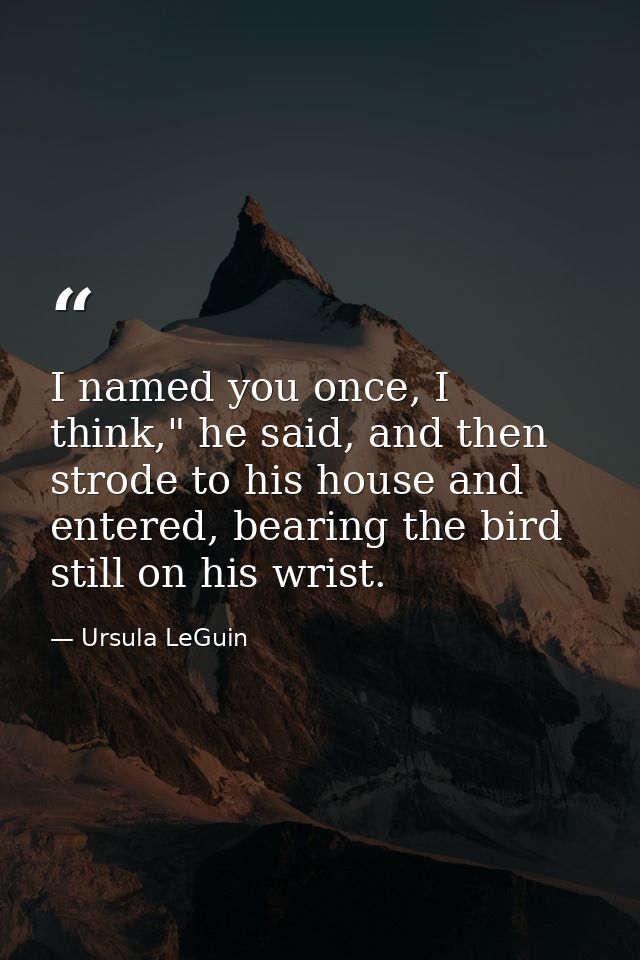 I named you once, I think," he said, and then strode to his house and entered, bearing the bird still on his wrist. — Ursula LeGuin