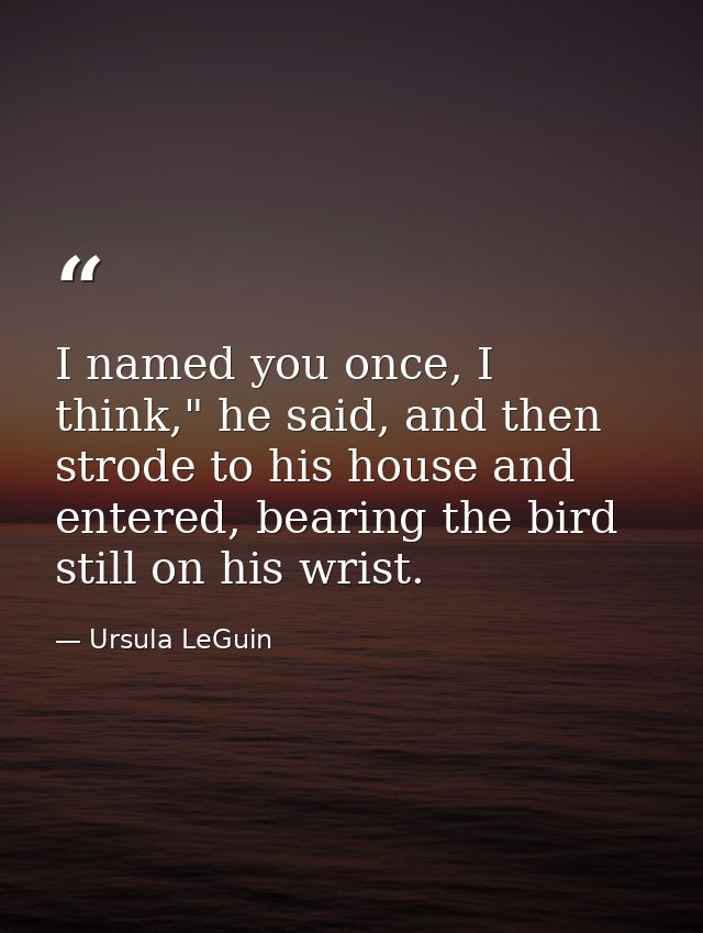 I named you once, I think," he said, and then strode to his house and entered, bearing the bird still on his wrist. — Ursula LeGuin
