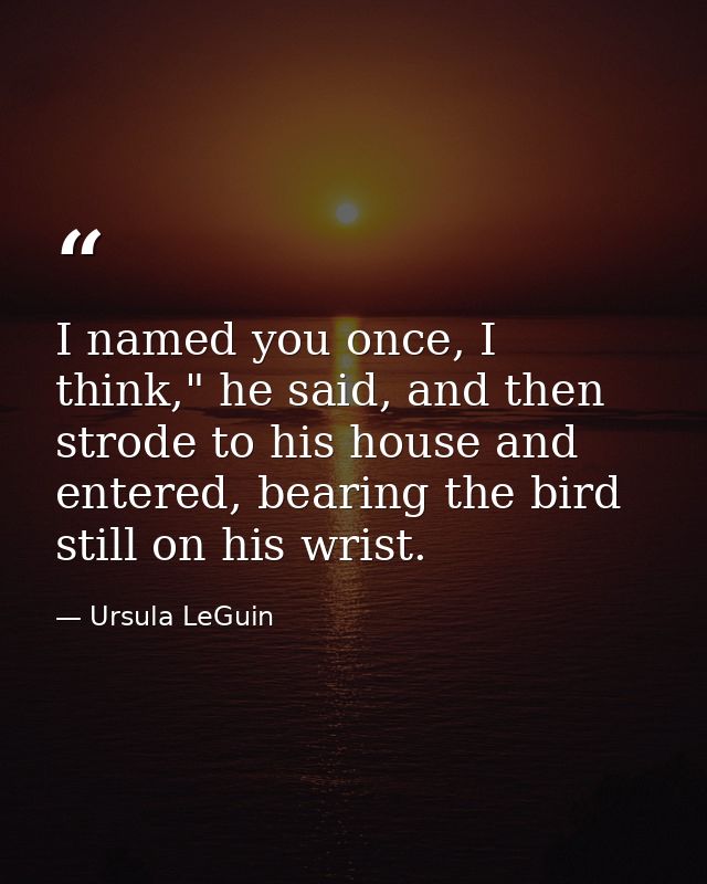 I named you once, I think," he said, and then strode to his house and entered, bearing the bird still on his wrist. — Ursula LeGuin