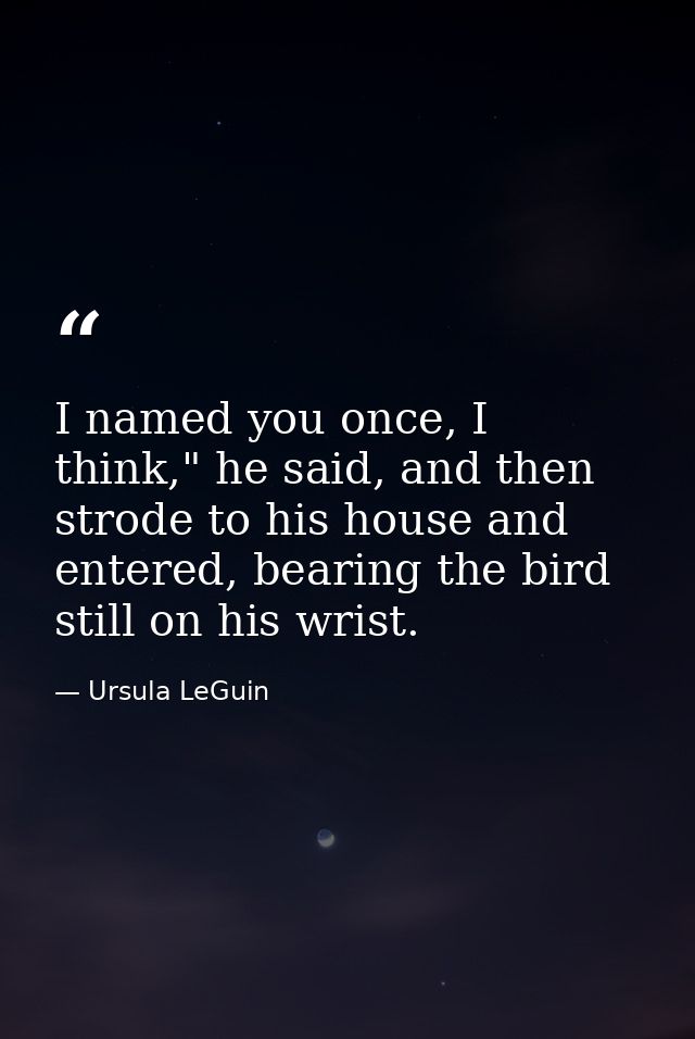 I named you once, I think," he said, and then strode to his house and entered, bearing the bird still on his wrist. — Ursula LeGuin