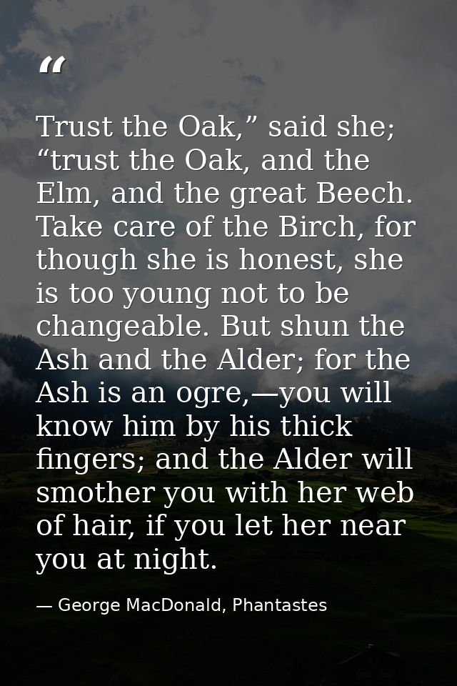 Trust the Oak,” said she; “trust the Oak, and the Elm, and the great Beech. Take care of the Birch, for though she is ho — George MacDonald, Phantastes
