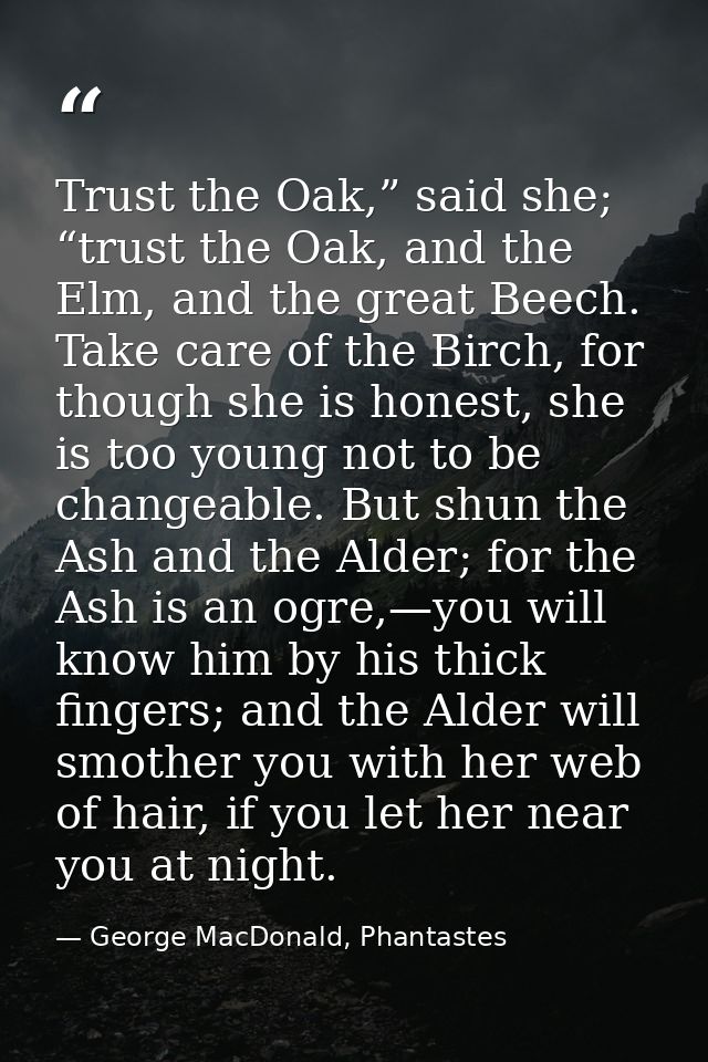 Trust the Oak,” said she; “trust the Oak, and the Elm, and the great Beech. Take care of the Birch, for though she is ho — George MacDonald, Phantastes