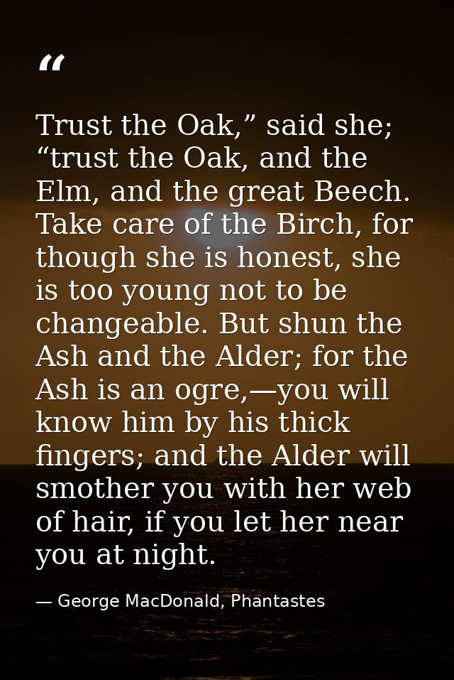Trust the Oak,” said she; “trust the Oak, and the Elm, and the great Beech. Take care of the Birch, for though she is ho — George MacDonald, Phantastes