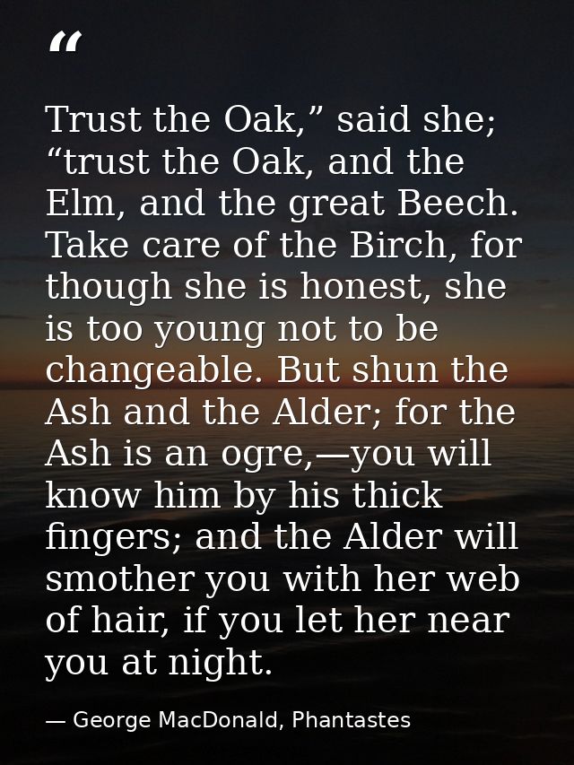 Trust the Oak,” said she; “trust the Oak, and the Elm, and the great Beech. Take care of the Birch, for though she is ho — George MacDonald, Phantastes