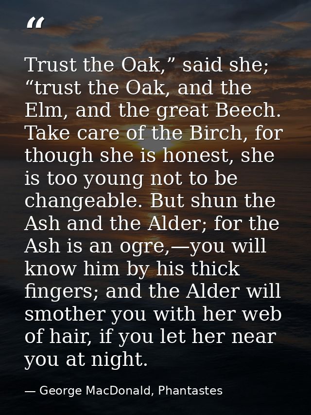 Trust the Oak,” said she; “trust the Oak, and the Elm, and the great Beech. Take care of the Birch, for though she is ho — George MacDonald, Phantastes