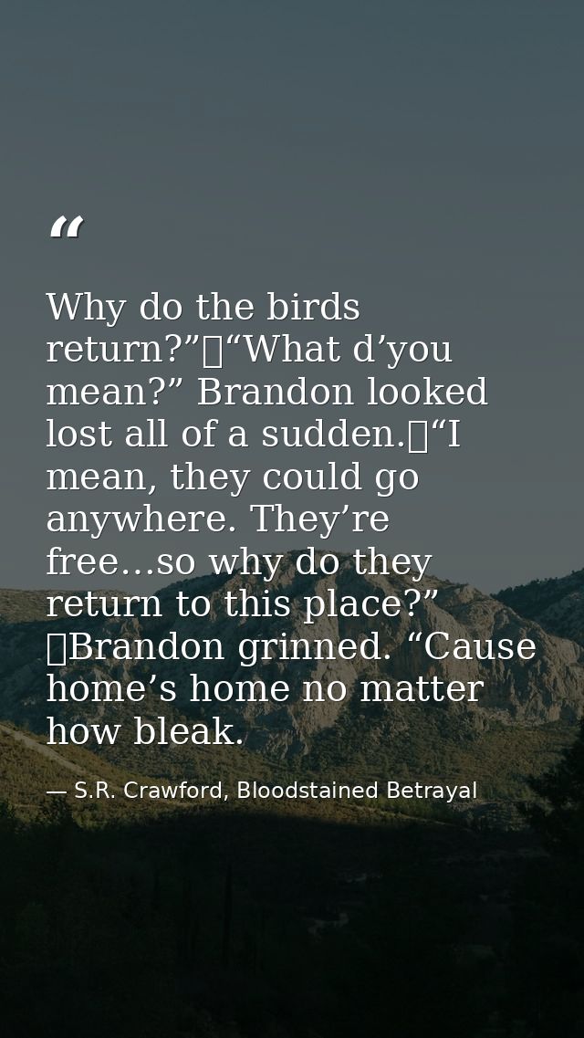 Why do the birds return?”	“What d’you mean?” Brandon looked lost all of a sudden.	“I mean, they could go anywhere. They’ — S.R. Crawford, Bloodstained Betrayal