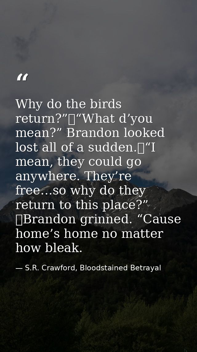 Why do the birds return?”	“What d’you mean?” Brandon looked lost all of a sudden.	“I mean, they could go anywhere. They’ — S.R. Crawford, Bloodstained Betrayal