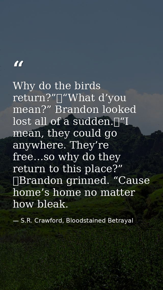 Why do the birds return?”	“What d’you mean?” Brandon looked lost all of a sudden.	“I mean, they could go anywhere. They’ — S.R. Crawford, Bloodstained Betrayal
