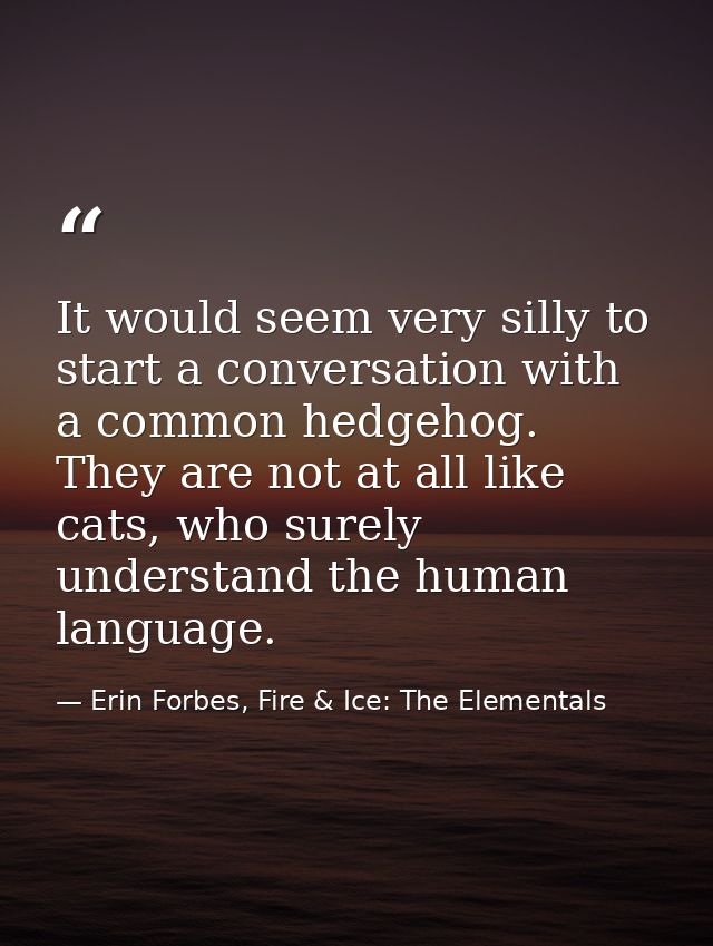 It would seem very silly to start a conversation with a common hedgehog. They are not at all like cats, who surely under — Erin Forbes, Fire & Ice: The Elementals