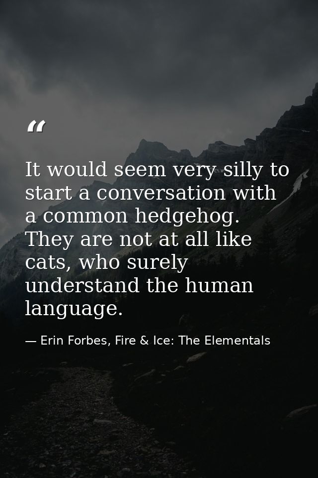 It would seem very silly to start a conversation with a common hedgehog. They are not at all like cats, who surely under — Erin Forbes, Fire & Ice: The Elementals