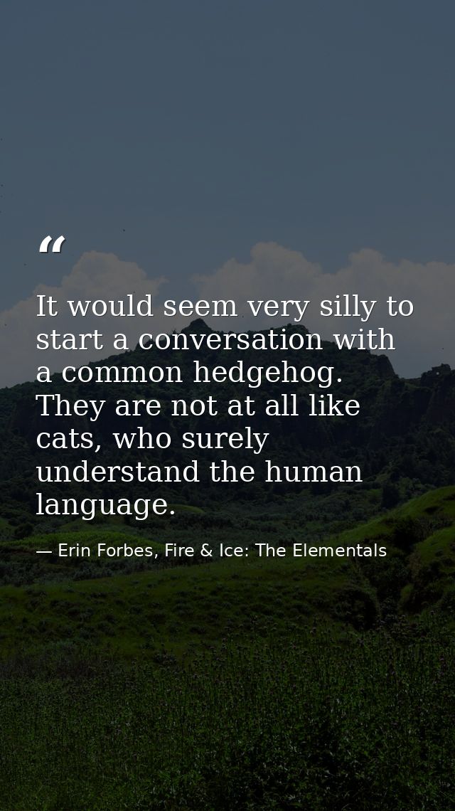 It would seem very silly to start a conversation with a common hedgehog. They are not at all like cats, who surely under — Erin Forbes, Fire & Ice: The Elementals