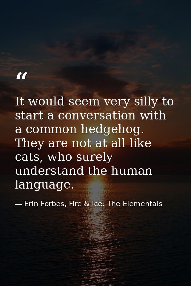 It would seem very silly to start a conversation with a common hedgehog. They are not at all like cats, who surely under — Erin Forbes, Fire & Ice: The Elementals