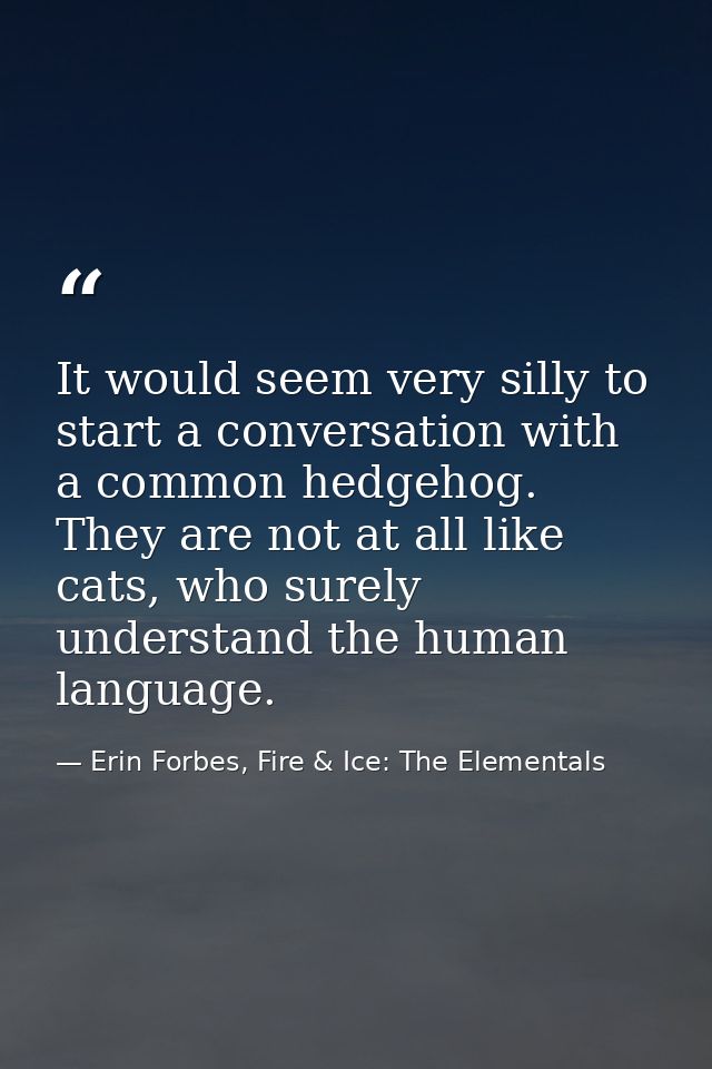 It would seem very silly to start a conversation with a common hedgehog. They are not at all like cats, who surely under — Erin Forbes, Fire & Ice: The Elementals