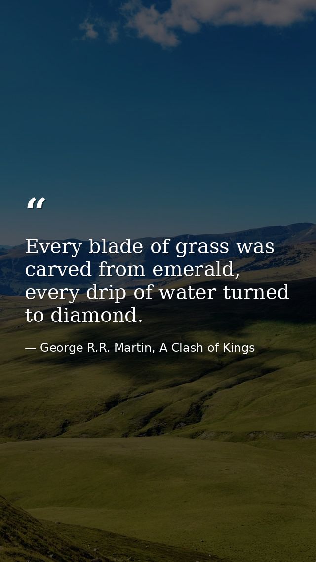 Every blade of grass was carved from emerald, every drip of water turned to diamond. — George R.R. Martin, A Clash of Kings