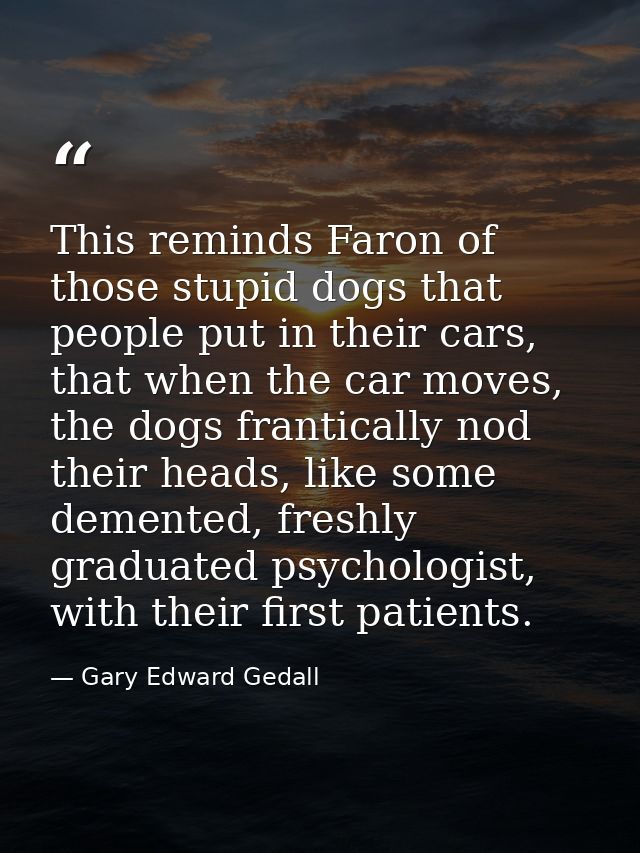This reminds Faron of those stupid dogs that people put in their cars, that when the car moves, the dogs frantically nod — Gary Edward Gedall