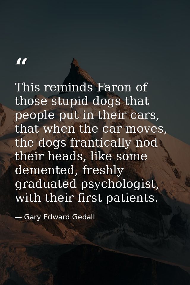 This reminds Faron of those stupid dogs that people put in their cars, that when the car moves, the dogs frantically nod — Gary Edward Gedall