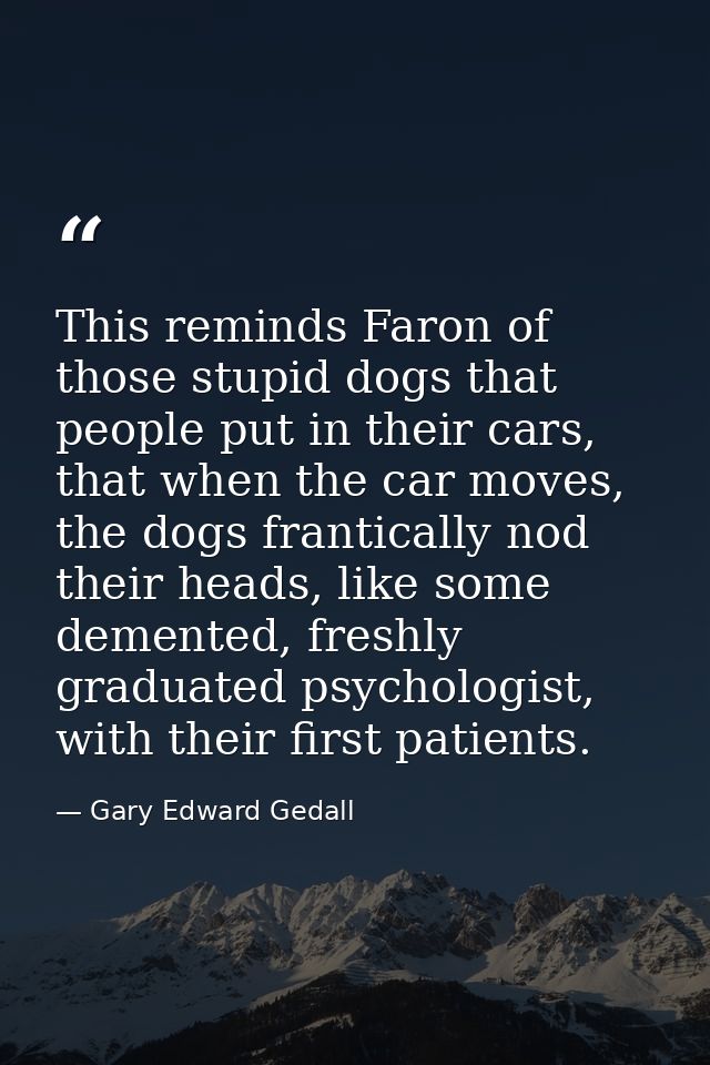 This reminds Faron of those stupid dogs that people put in their cars, that when the car moves, the dogs frantically nod — Gary Edward Gedall