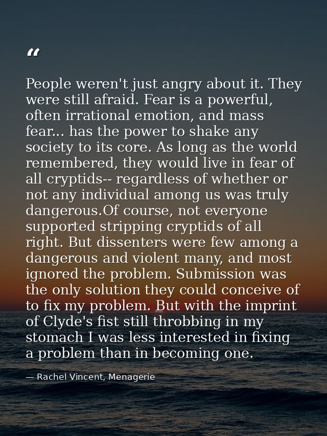 People weren't just angry about it. They were still afraid. Fear is a powerful, often irrational emotion, and mass fear. — Rachel Vincent, Menagerie
