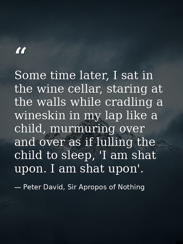 Some time later, I sat in the wine cellar, staring at the walls while cradling a wineskin in my lap like a child, murmur — Peter David, Sir Apropos of Nothing