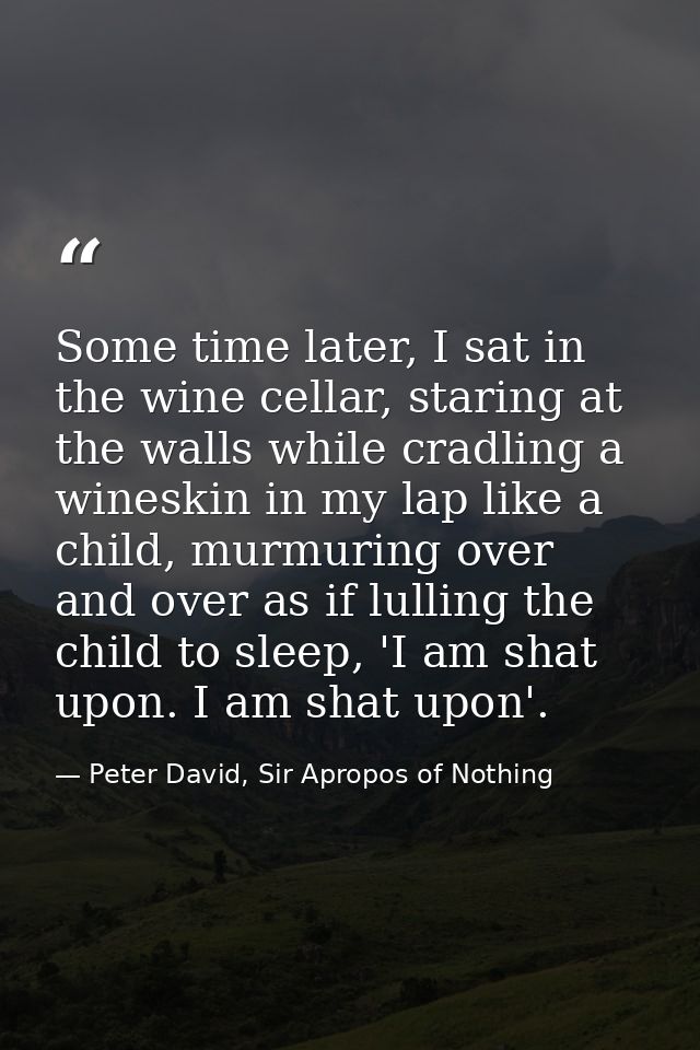 Some time later, I sat in the wine cellar, staring at the walls while cradling a wineskin in my lap like a child, murmur — Peter David, Sir Apropos of Nothing
