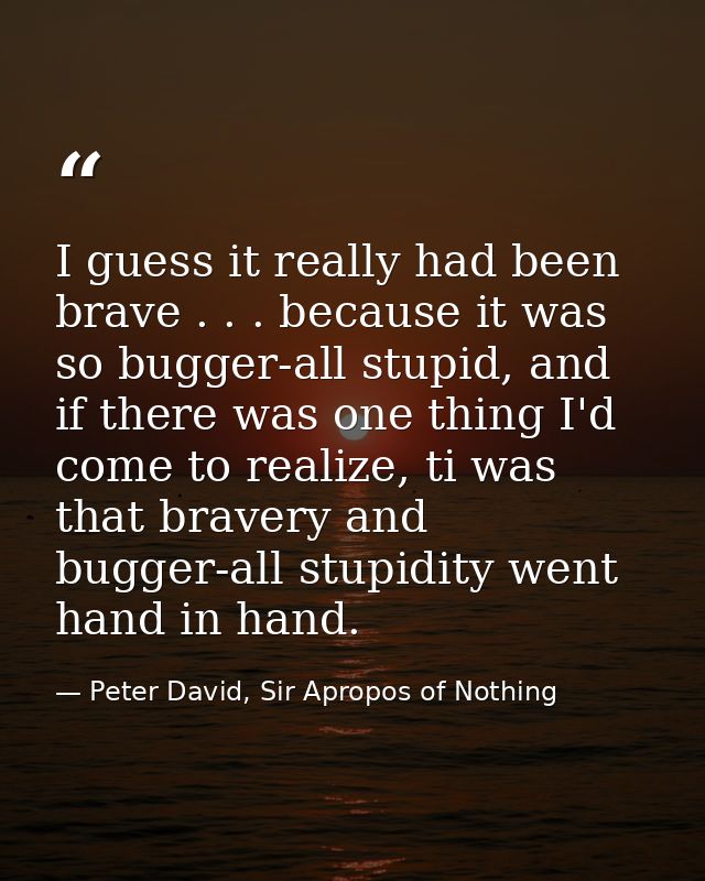 I guess it really had been brave . . . because it was so bugger-all stupid, and if there was one thing I'd come to reali — Peter David, Sir Apropos of Nothing