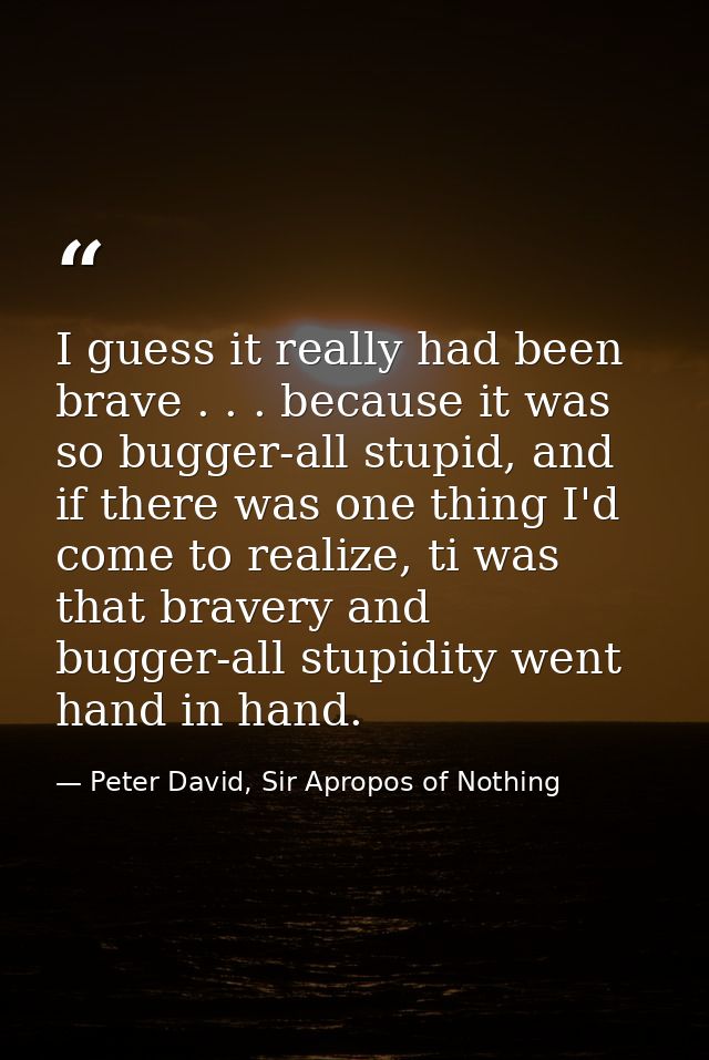 I guess it really had been brave . . . because it was so bugger-all stupid, and if there was one thing I'd come to reali — Peter David, Sir Apropos of Nothing