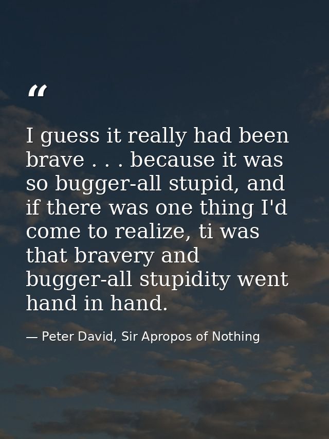 I guess it really had been brave . . . because it was so bugger-all stupid, and if there was one thing I'd come to reali — Peter David, Sir Apropos of Nothing