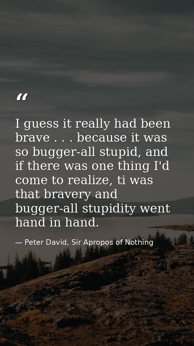 I guess it really had been brave . . . because it was so bugger-all stupid, and if there was one thing I'd come to reali — Peter David, Sir Apropos of Nothing