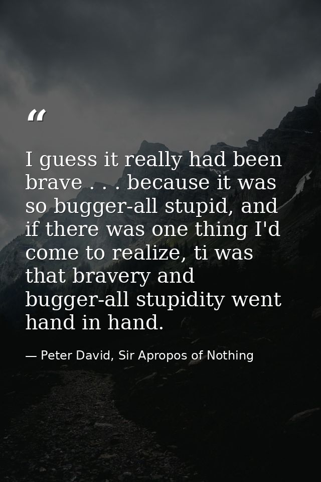 I guess it really had been brave . . . because it was so bugger-all stupid, and if there was one thing I'd come to reali — Peter David, Sir Apropos of Nothing