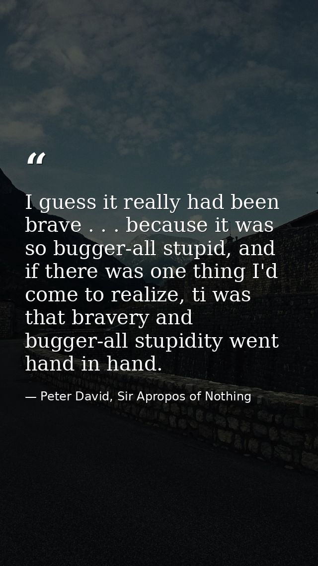 I guess it really had been brave . . . because it was so bugger-all stupid, and if there was one thing I'd come to reali — Peter David, Sir Apropos of Nothing