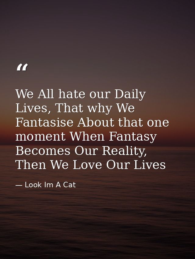 We All hate our Daily Lives, That why We Fantasise About that one moment When Fantasy Becomes Our Reality, Then We Love  — Look Im A Cat