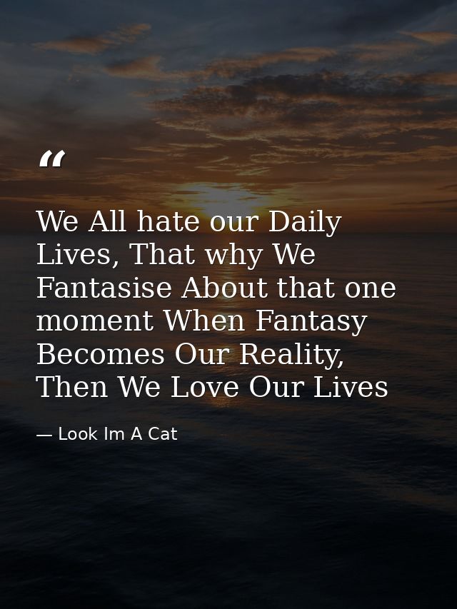 We All hate our Daily Lives, That why We Fantasise About that one moment When Fantasy Becomes Our Reality, Then We Love  — Look Im A Cat