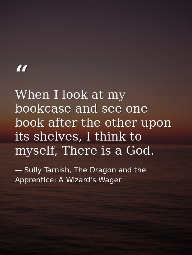 When I look at my bookcase and see one book after the other upon its shelves, I think to myself, There is a God. — Sully Tarnish, The Dragon and the Apprentice: A Wizard's Wager