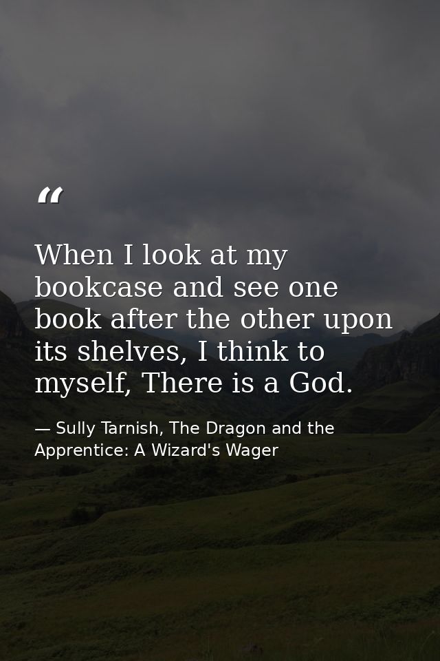 When I look at my bookcase and see one book after the other upon its shelves, I think to myself, There is a God. — Sully Tarnish, The Dragon and the Apprentice: A Wizard's Wager