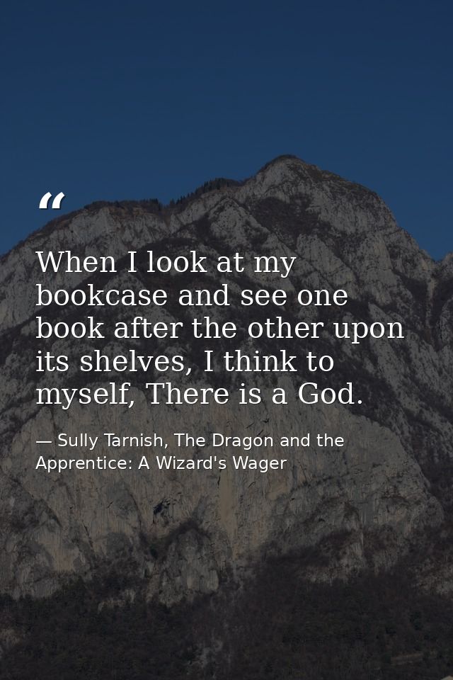 When I look at my bookcase and see one book after the other upon its shelves, I think to myself, There is a God. — Sully Tarnish, The Dragon and the Apprentice: A Wizard's Wager
