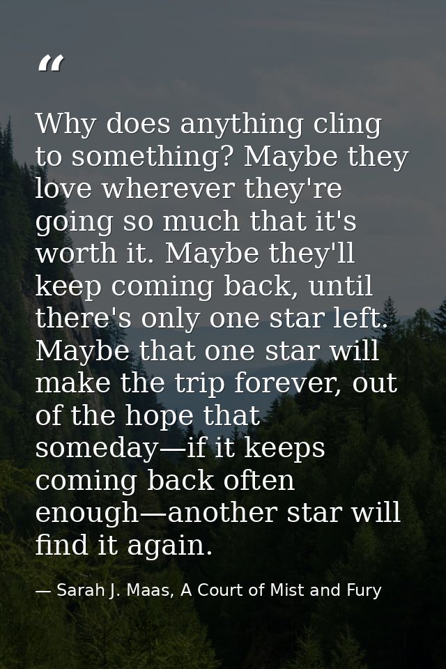 Why does anything cling to something? Maybe they love wherever they're going so much that it's worth it. Maybe they'll k — Sarah J. Maas, A Court of Mist and Fury