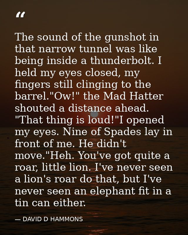 The sound of the gunshot in that narrow tunnel was like being inside a thunderbolt. I held my eyes closed, my fingers st — DAVID D HAMMONS
