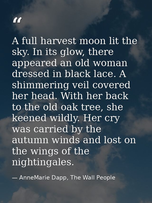 A full harvest moon lit the sky. In its glow, there appeared an old woman dressed in black lace. A shimmering veil cover — AnneMarie Dapp, The Wall People