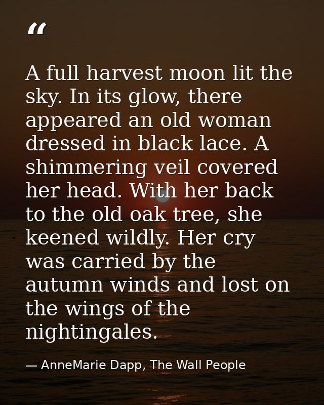 A full harvest moon lit the sky. In its glow, there appeared an old woman dressed in black lace. A shimmering veil cover — AnneMarie Dapp, The Wall People