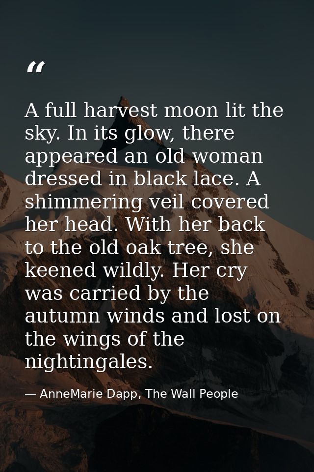 A full harvest moon lit the sky. In its glow, there appeared an old woman dressed in black lace. A shimmering veil cover — AnneMarie Dapp, The Wall People