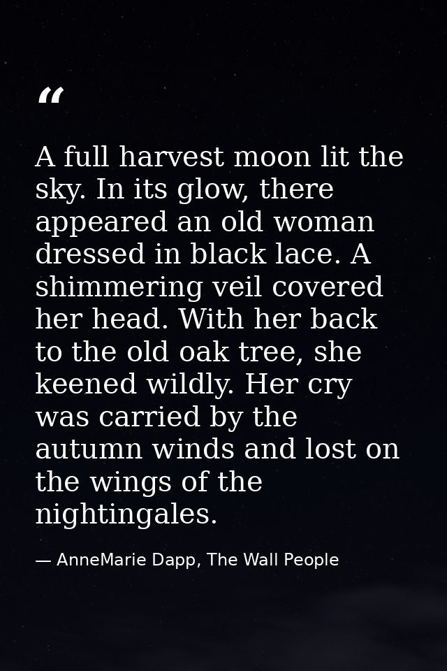 A full harvest moon lit the sky. In its glow, there appeared an old woman dressed in black lace. A shimmering veil cover — AnneMarie Dapp, The Wall People