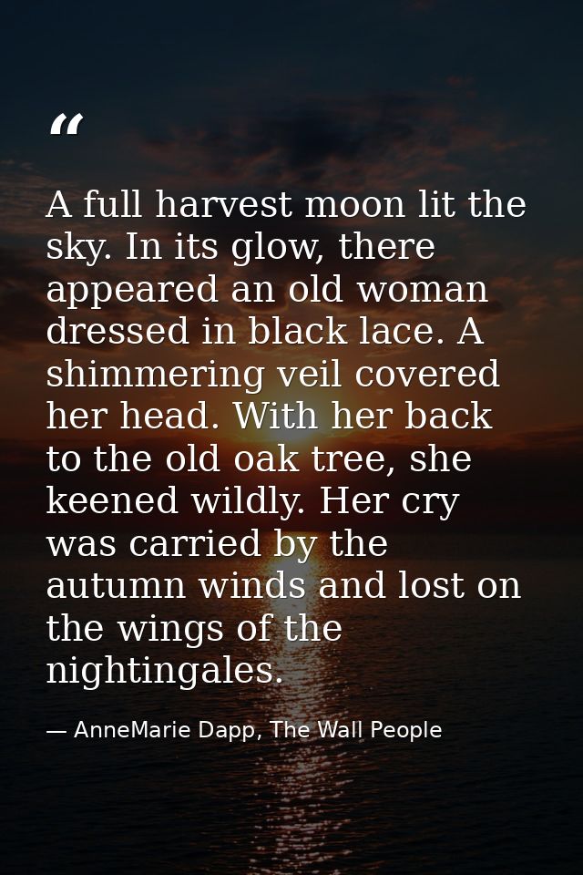 A full harvest moon lit the sky. In its glow, there appeared an old woman dressed in black lace. A shimmering veil cover — AnneMarie Dapp, The Wall People