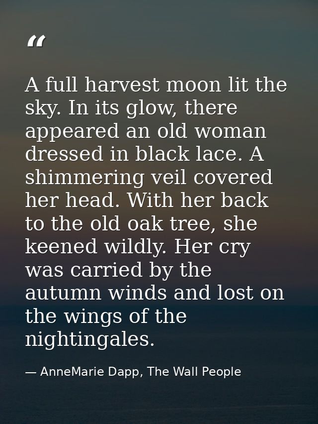 A full harvest moon lit the sky. In its glow, there appeared an old woman dressed in black lace. A shimmering veil cover — AnneMarie Dapp, The Wall People