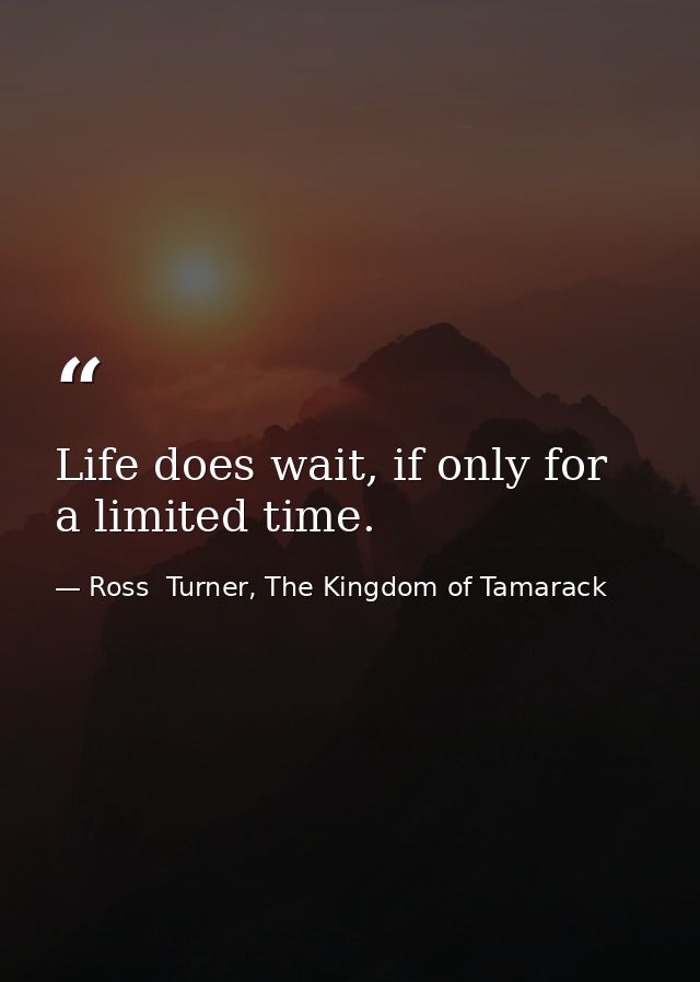 Life does wait, if only for a limited time. — Ross  Turner, The Kingdom of Tamarack