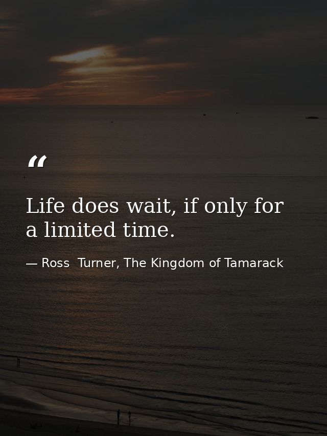 Life does wait, if only for a limited time. — Ross  Turner, The Kingdom of Tamarack