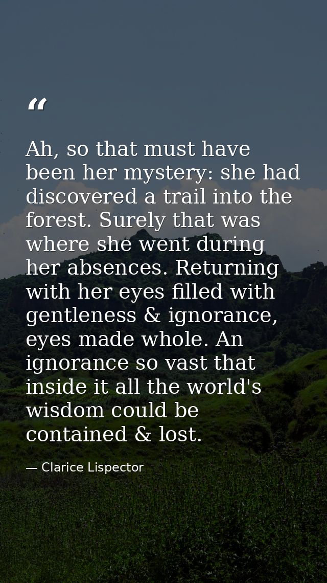 Ah, so that must have been her mystery: she had discovered a trail into the forest. Surely that was where she went durin — Clarice Lispector