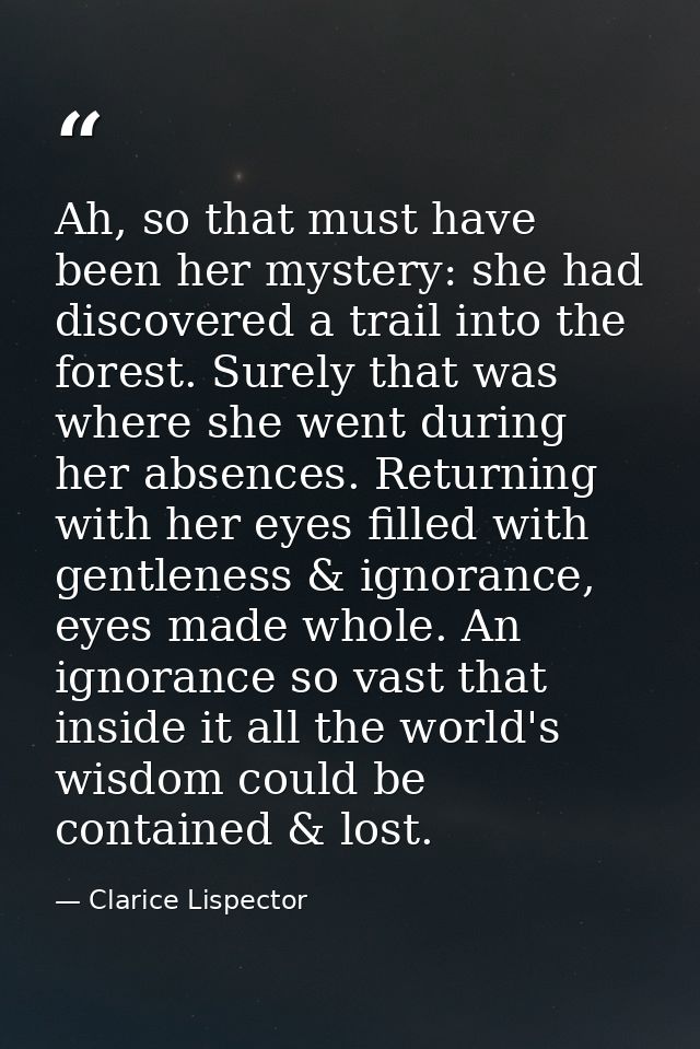 Ah, so that must have been her mystery: she had discovered a trail into the forest. Surely that was where she went durin — Clarice Lispector