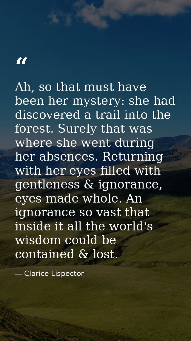 Ah, so that must have been her mystery: she had discovered a trail into the forest. Surely that was where she went durin — Clarice Lispector